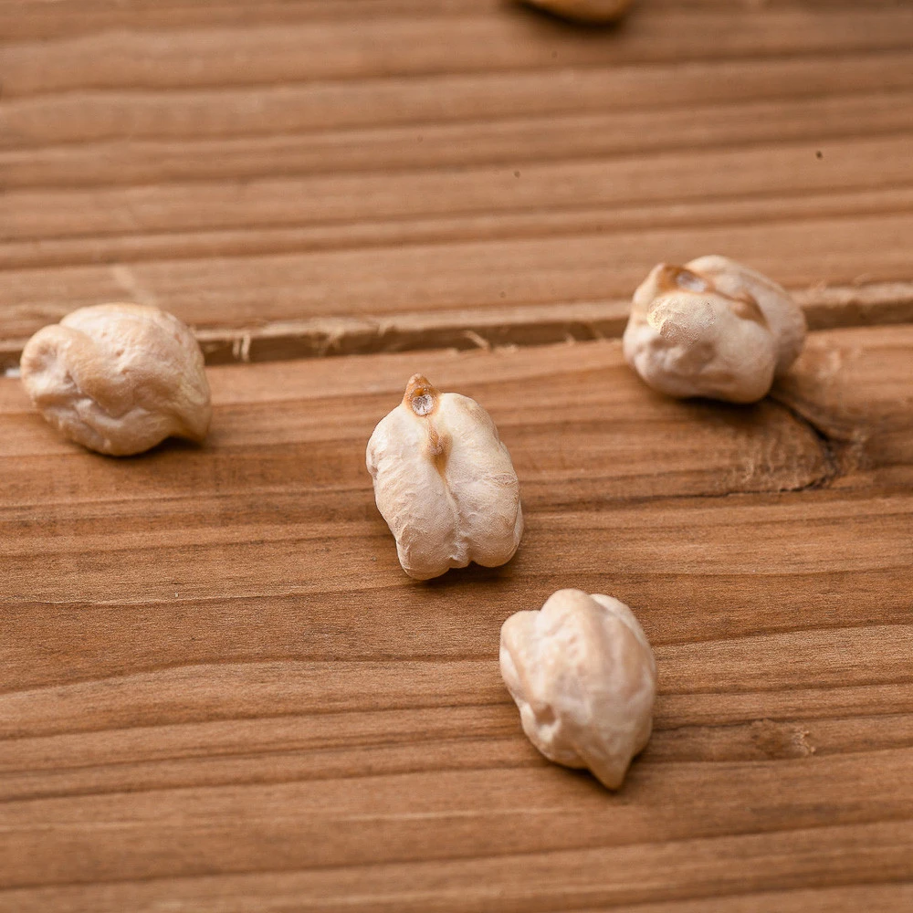 Множество карбогидратов питательный чистый натуральный органический мексиканский Нут