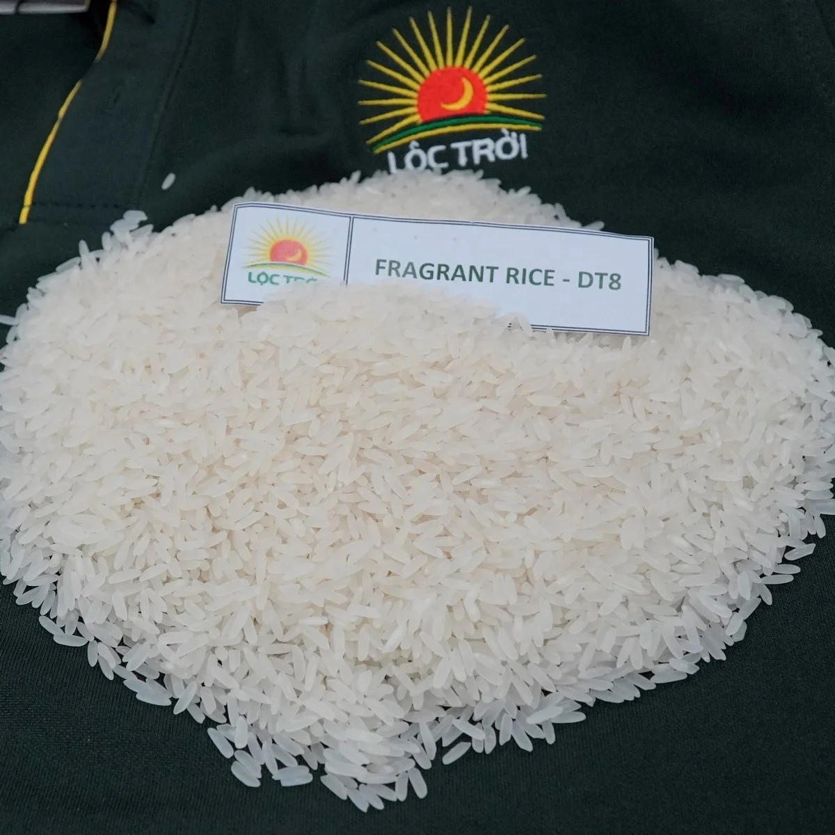 Wholesale 2022 Long Grain Fragrant Rice/White Rice DT8 Variety from Vietnam Best Supplier Contact us for Best Price