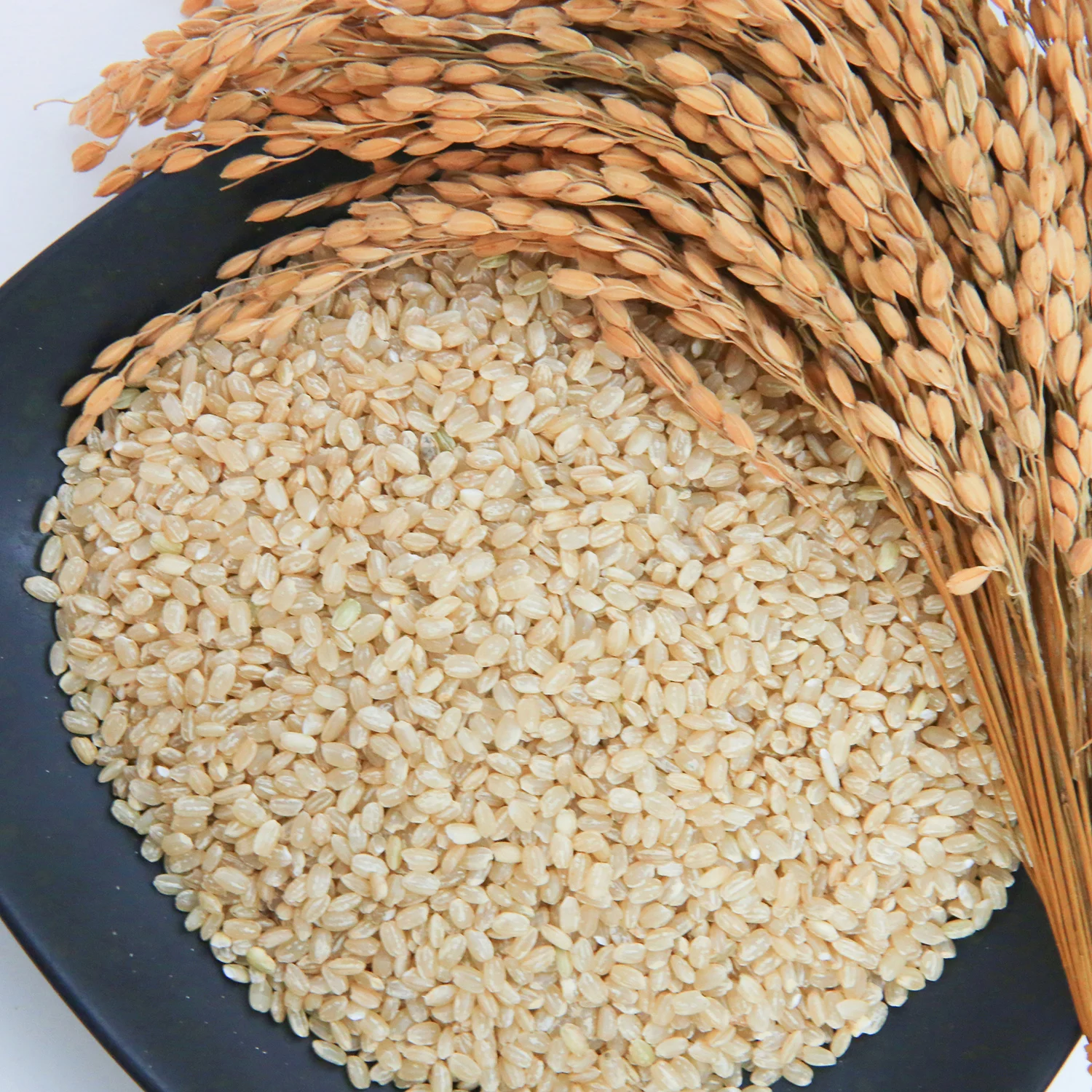 Вьетнамский высококачественный мягкий короткозернистый рис 5% Стандартный коричневый японский здоровый