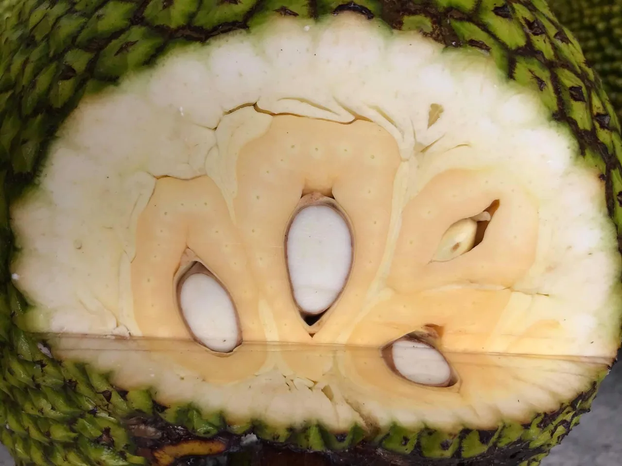 10/15/20/30 kg No Chemicals Top Wholesale Sweet Taste From Vietnam Fresh Jackfruit