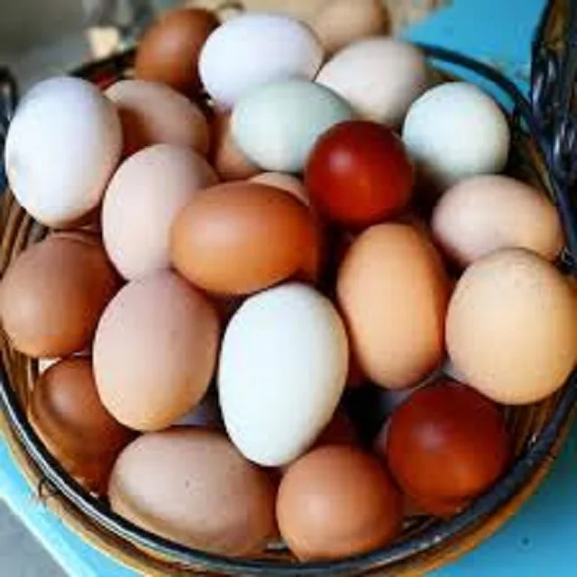 100% Farm Fresh Chicken Table Eggs Brown and White Shell Chicken Eggs in Turkey