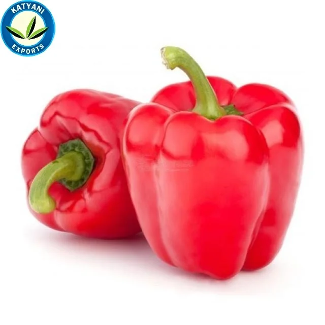 Excellent Quality & Reasonable Price for Natural OLEORESIN PAPRIKA oil
