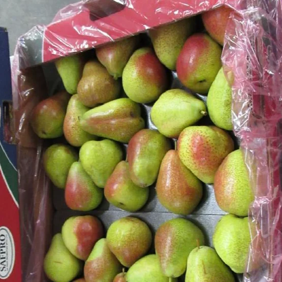 FRESH PEAR VERMONT CLASS 1 NET 12.5 KGS PER CTN SIZE 70/80/60/38/48/48/52 Wholesale exporter Williams pears Packhams Triumph