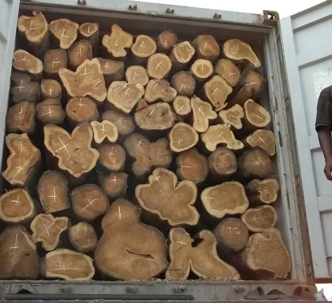 
Teak Wood - Round Logs- Swan Timber Logs for sale . 