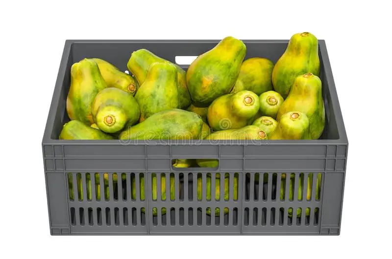 Best seller Fresh Papaya Premium grade from Thailand by SP Organic International