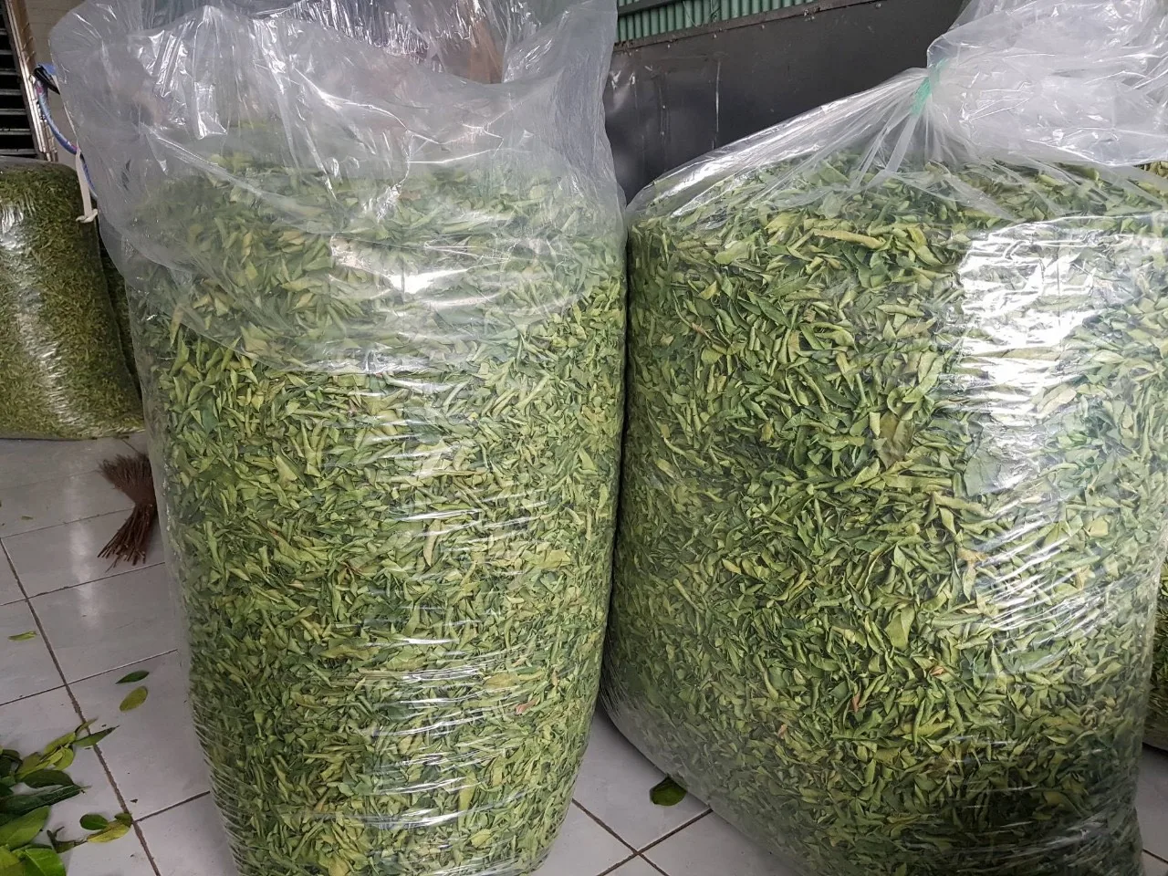 Dried Lemon Leaves/ Slices Dried Lemon leaves/ Dried Lime Leaves Dehydrated Lemon leaf for Tea ORigin Vietnam