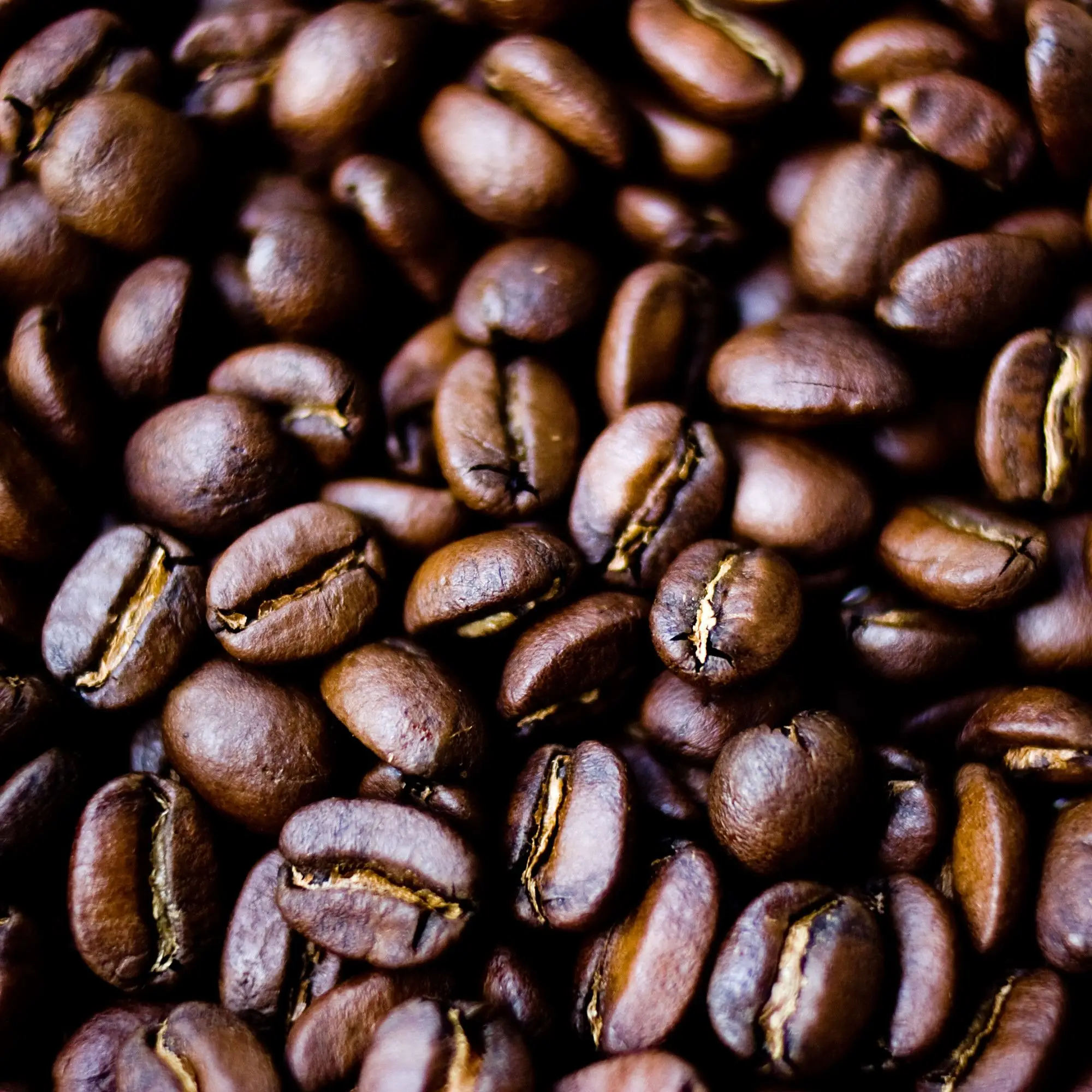 Вьетнамский специфический аромат кофе-Ласка (или civet-enzmed или kopi luwak) подходит для жаровни кофейных зерен. Для продажи