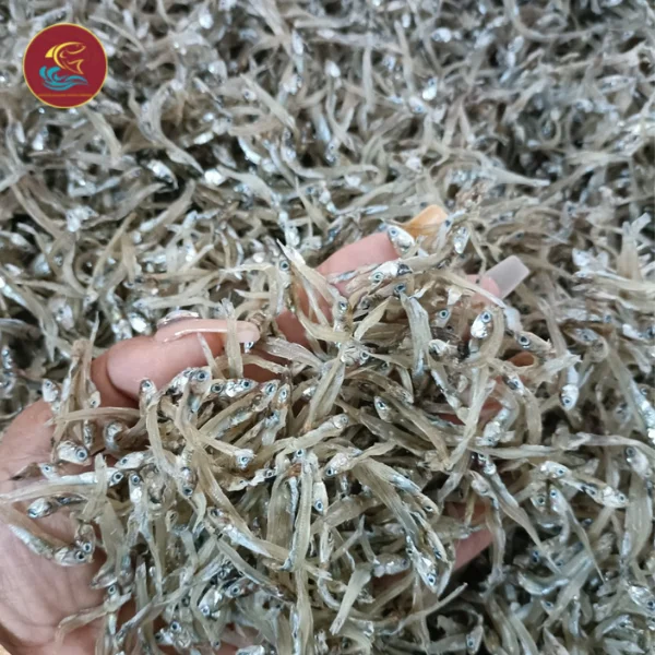 Low Price Wholesale Dried Salted Anchovy Fish With High Quality Made In Vietnam Accept LCL Shipping
