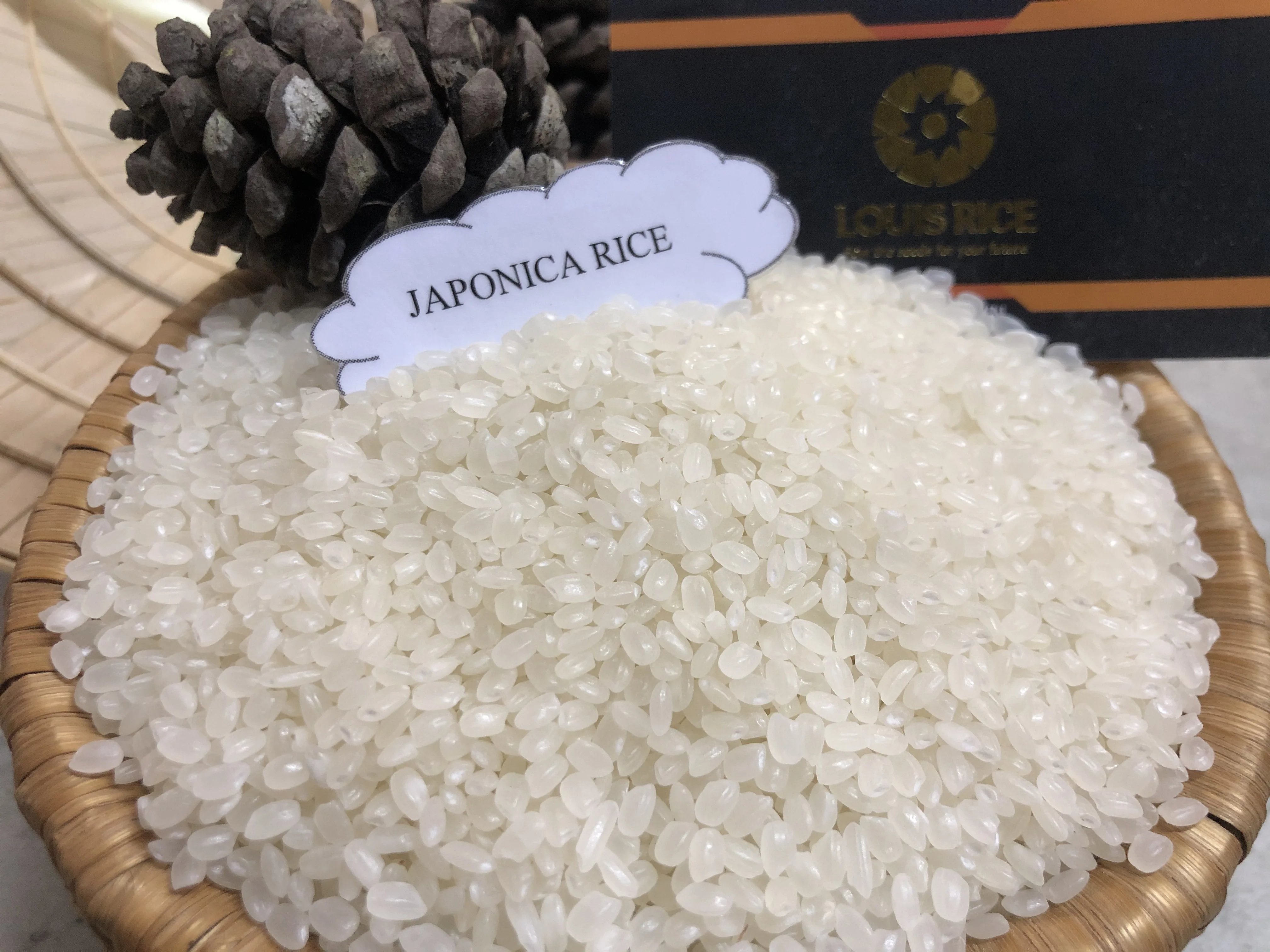 
Good price Japonica rice 5% broken high quality made in Vietnam 