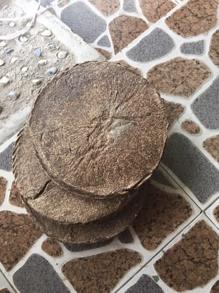 Grade A REFINED PEANUT OIL / Refined Peanut Oil / High Quality Pure Groundnut