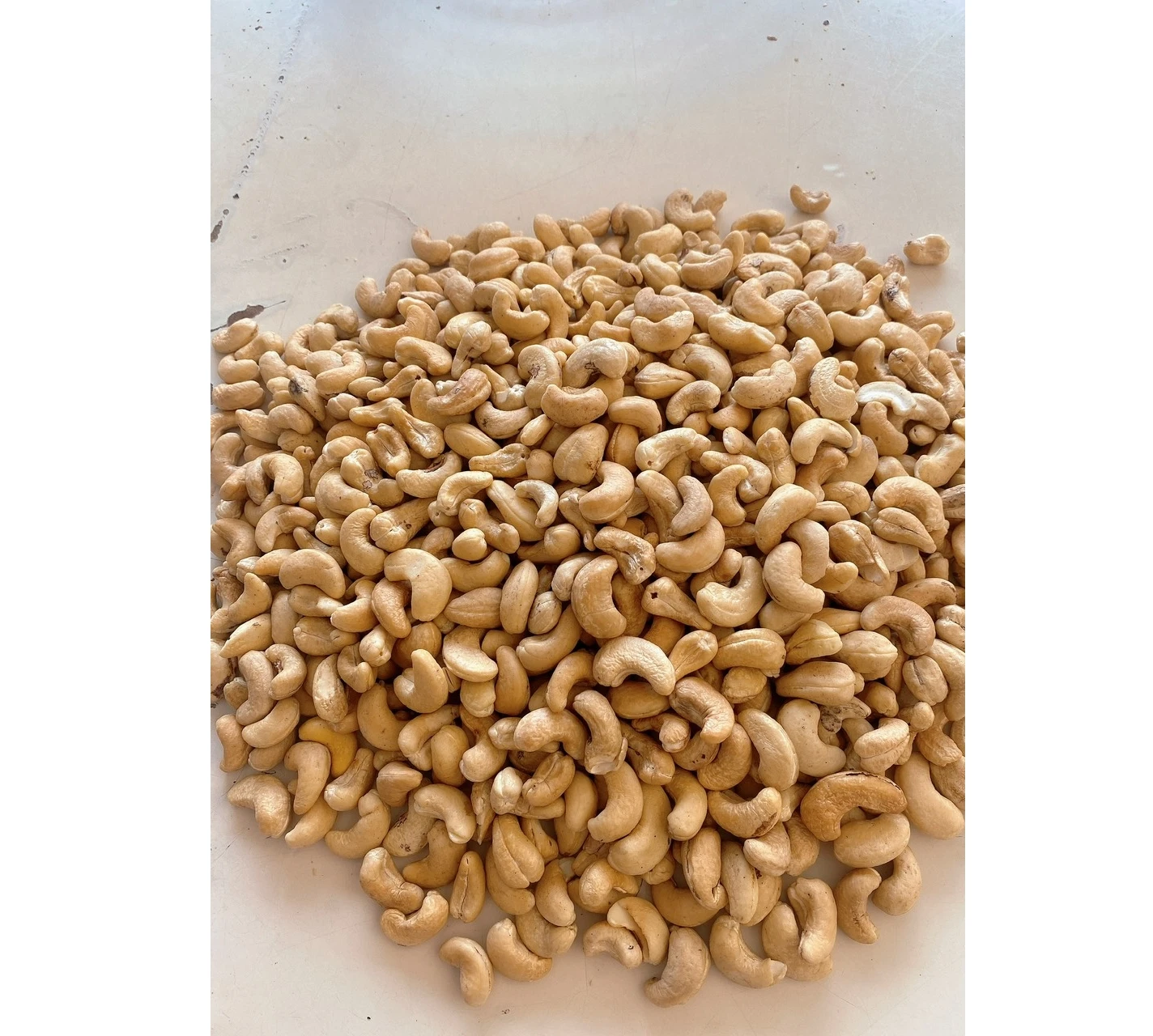 Vietnam Manufacturer Small Pieces Cashew Nuts Dried Raw Cashew Kernel w240 w320 w450