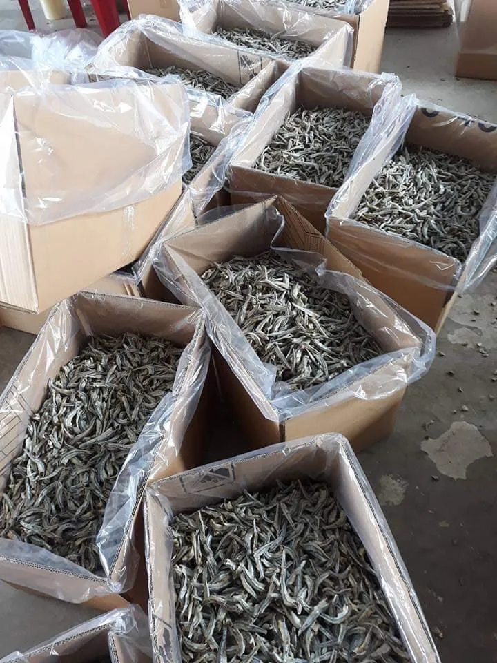 Dried Anchovy With Head Or Headless (Sprat) Best Price/ Dried Anchovy