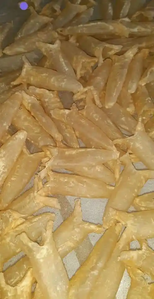 WHOLESALE FISH MAW FISH MAW WITH BEST PRICE