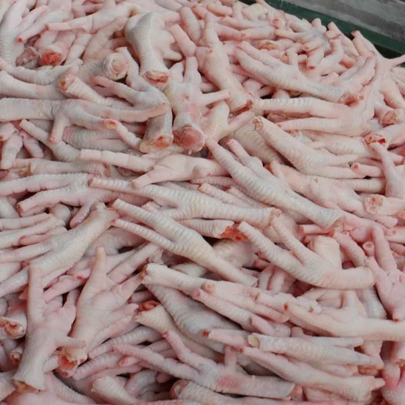 Hight Quality Frozen Chicken Feet / Paws
