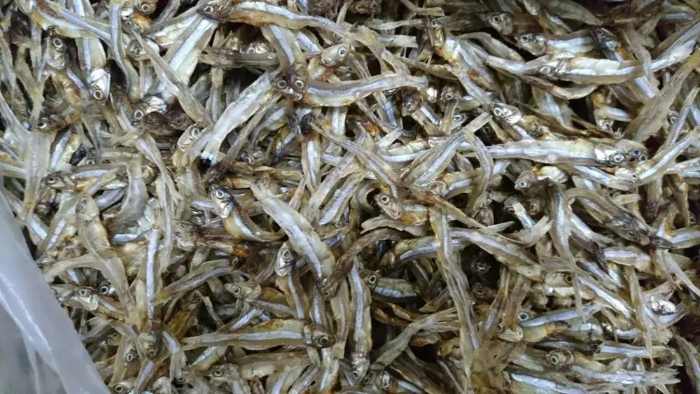 
dried salted anchovy - Dried Sprats 