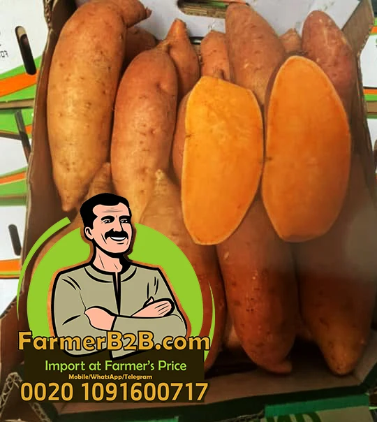 Свежий сладкий картофель из египта beauview, новый урожай 2021/2022 (Непревзойденная цена)