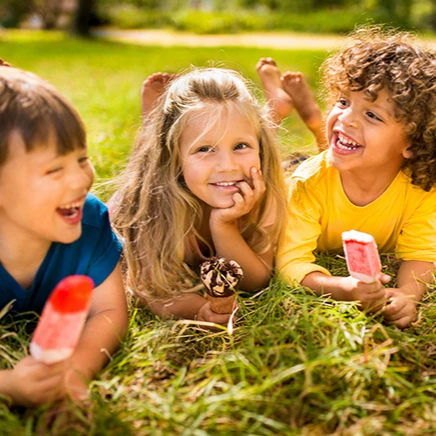 Cargill World Leading Supplier Spray STARCH Corn Starch Powder Bag