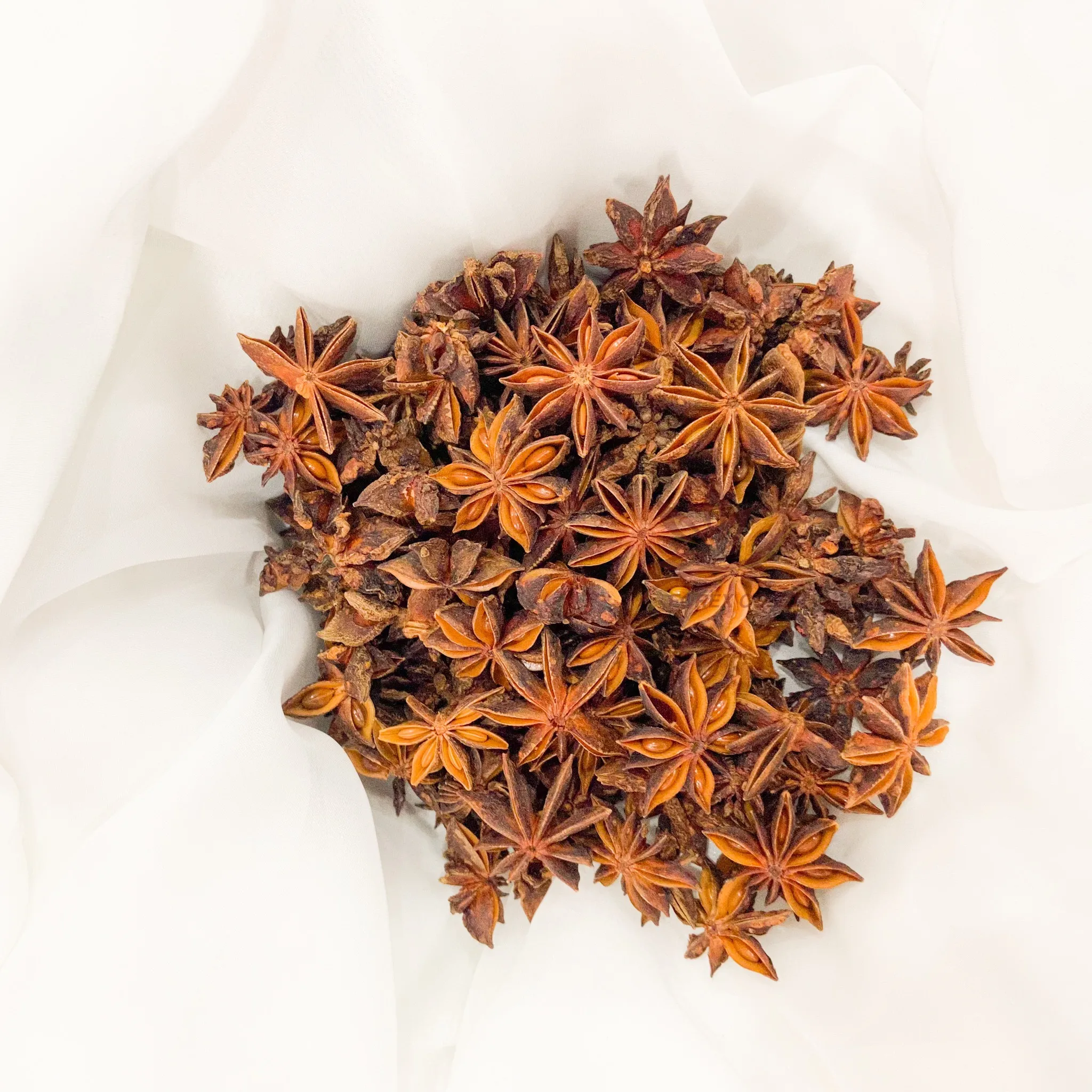 Whole Star Anise Grade AA High Quality Autumn Crop Big Size Rich Oil Content Product by Factory Origin from Vietnam