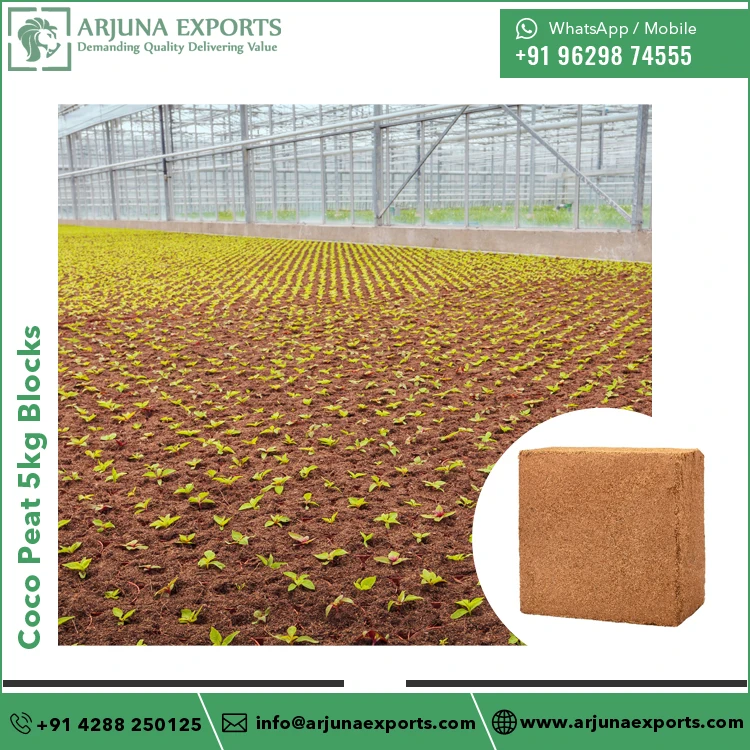 Wholesale Supplier of High Quality 100% Natural Coconut Coir Peat Coco Pith 5kg Blocks at Reliable Market Price