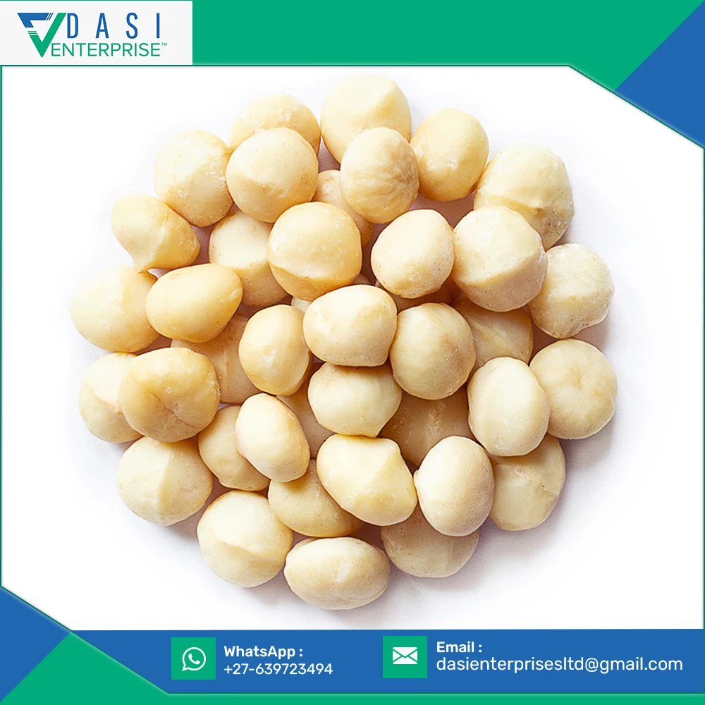 Fiber Rich Valuable Delicious Raw Organic White Macadamia Nuts Kernel At New Selling