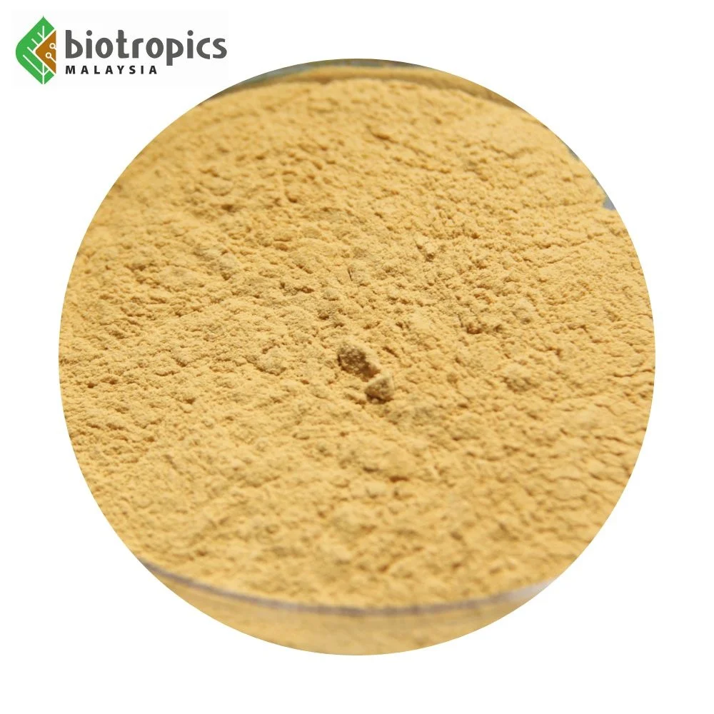 New Tongkat Ali 100% Root Extract Powder from Malaysia Halal Ready to Formulate into Food & Drinks