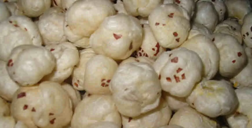 Indian organic Flavoured Makhana fox nut lotus seeds jar packing