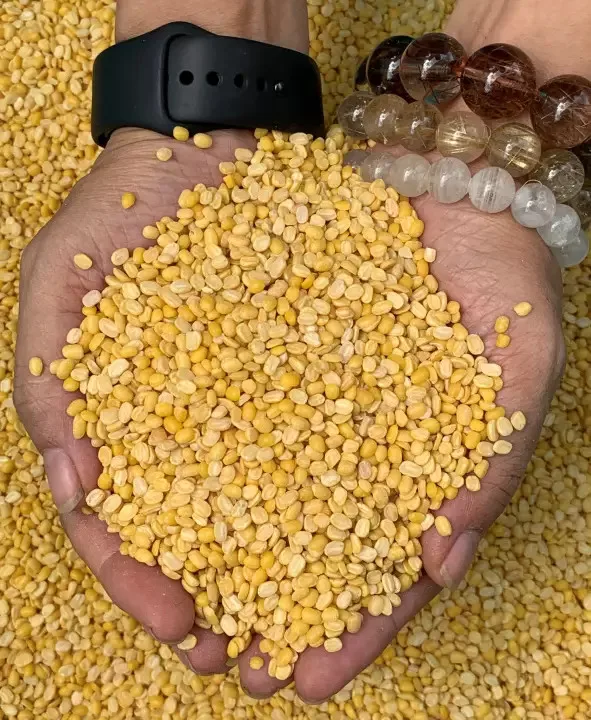 Wholesale OrSaFarm Green Beans without skin 5kg/pack Mung Bean Peeled 2021 High Quality made in Viet Nam