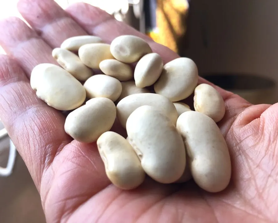 
Butter beans 