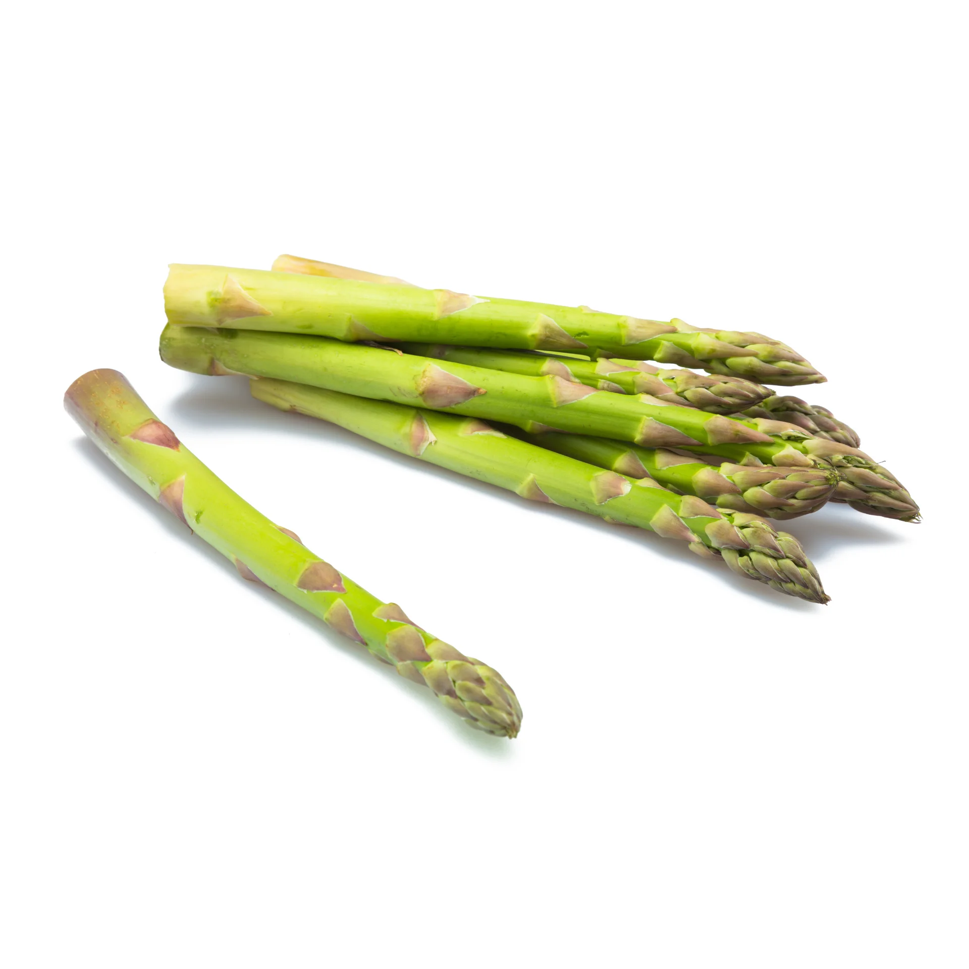 Asparagus - High fresh quality