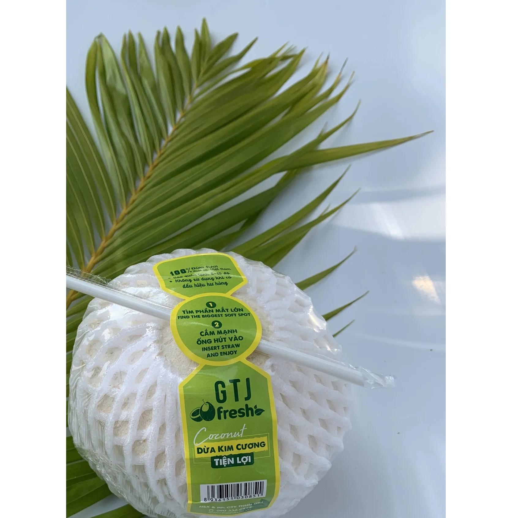
100% fresh coconut from Mekong Delta Convenient Diamond Cut Shape Coconut exporter from Vietnam 