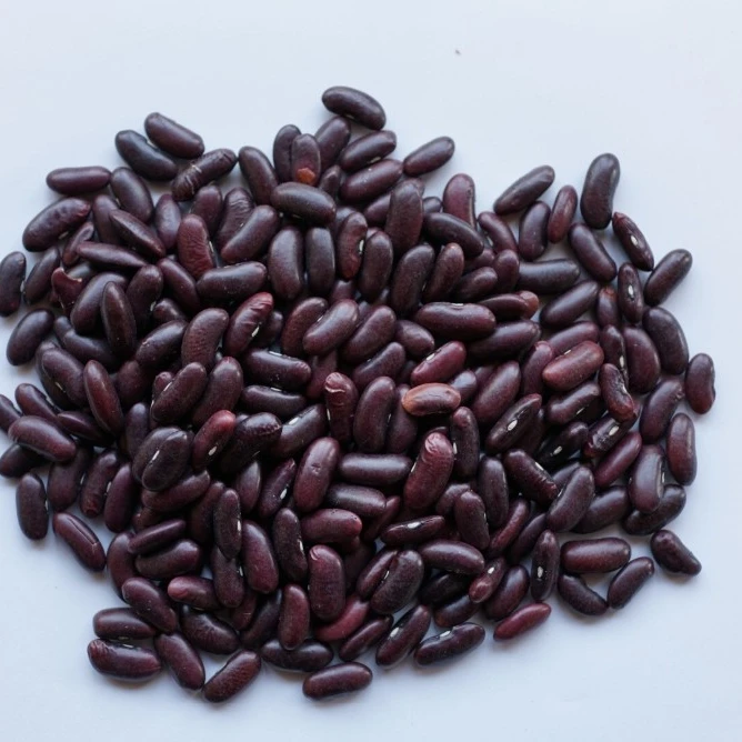 
HOT SELLING RED KIDNEY BEANS FROM VIETNAM 