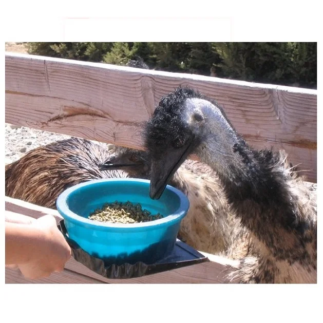 Agriculture EMU Feed Best Quality Poultry Feed For Duck At Cheap Price