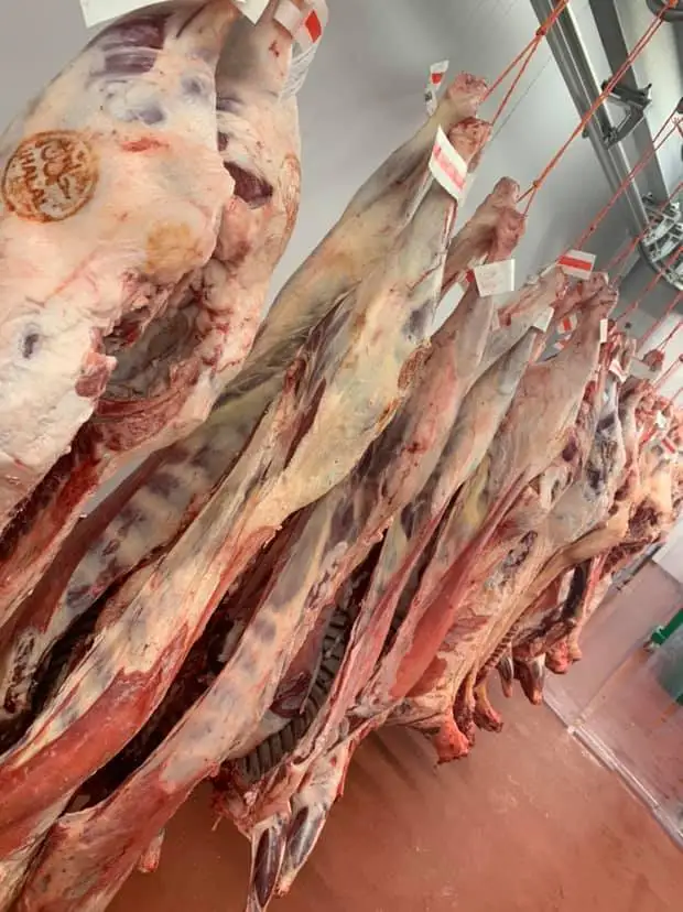 Замороженная Вешалка из ягненка 12 ребер высокое качество завод Halal