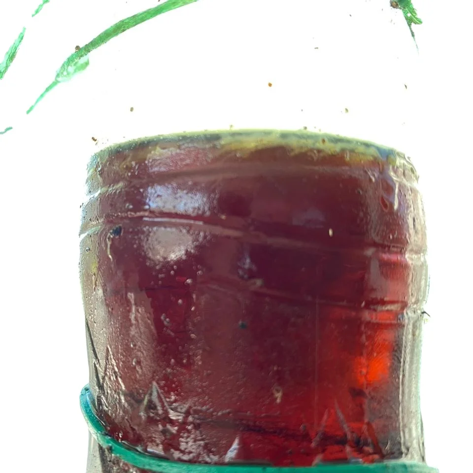 
Sunflower oil for biodiesel, non-edible, technical 