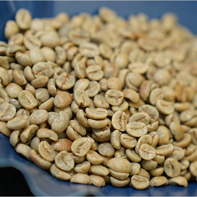 
EthioCo GmbH (Ltd) - Brazil Coffee Santos 17/18 NY2/3 SS Fair Coffee 