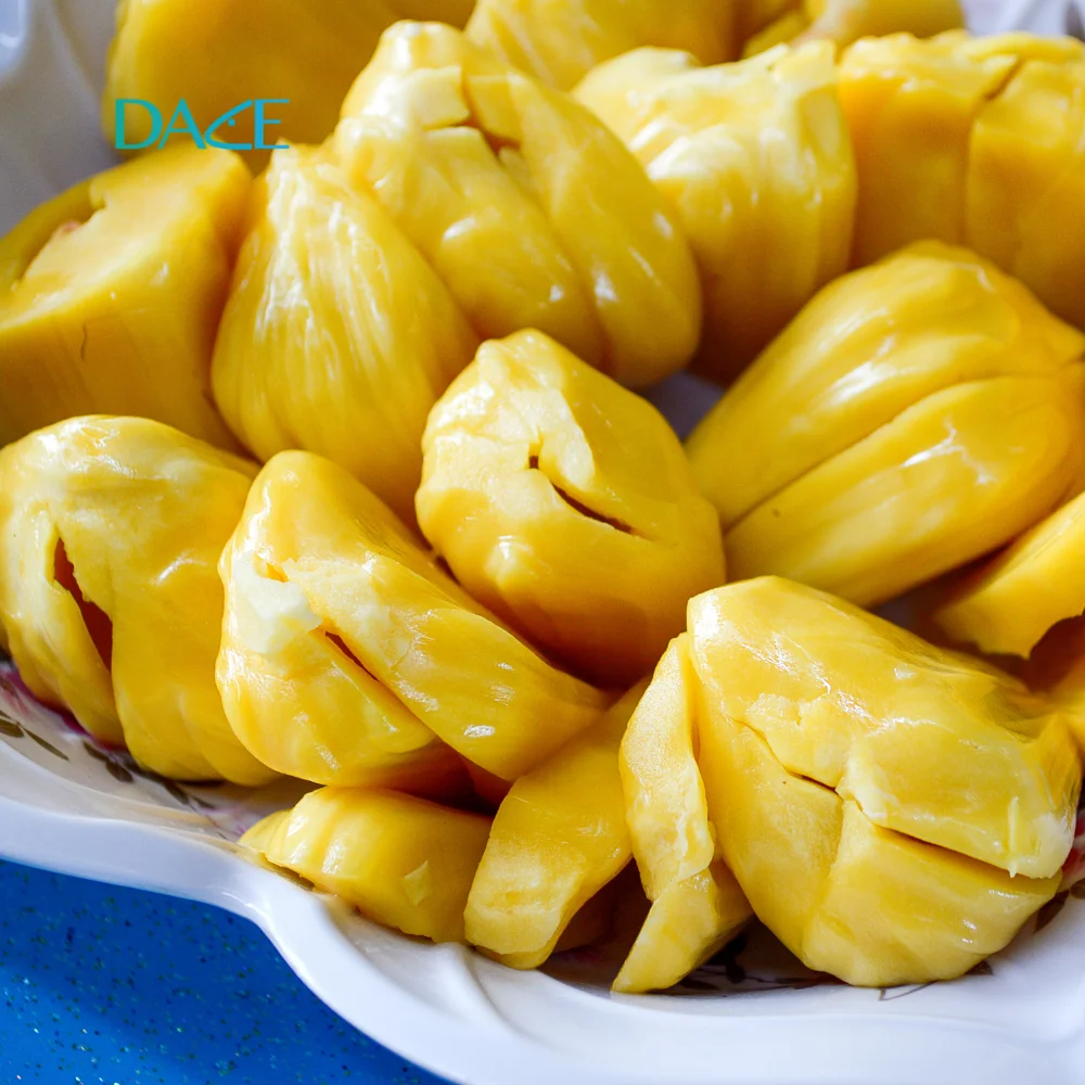 Vietnam Jackfruit For Export Cheap Price And Quick Response With High Quality And Carefully Packaged