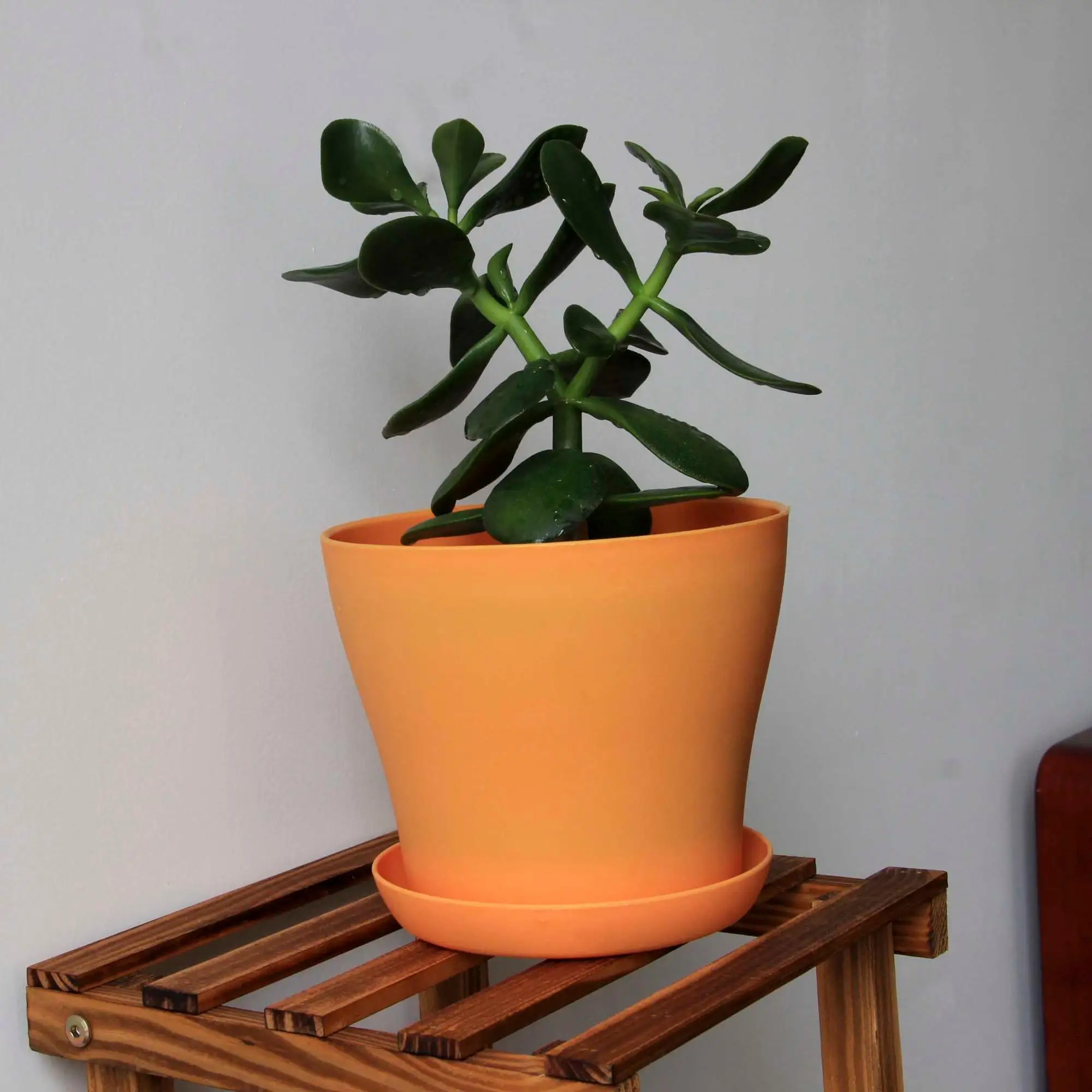 Пластиковый горшок для растений с блюдцем декоративный пластиковый цветочный садоводства