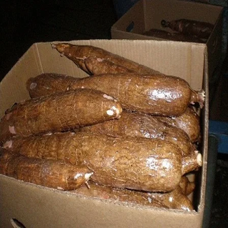 Sweet Cassava  Fruits Supplier Lowest Price Frozen FROZEN CASSAVA frozen  with 25kg/box origin Vietnam  fruit bulk (10000006424287)