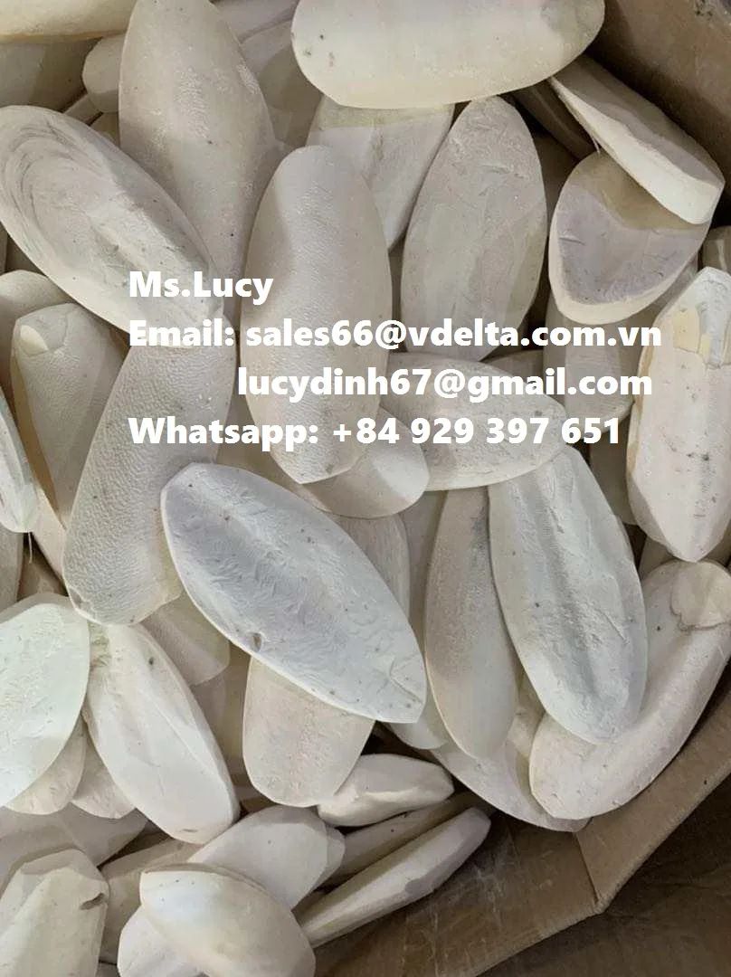 High Quality Dried Cuttlefish Bone  For Pet From Vietnam Ms.Lucy +84 929 397 651