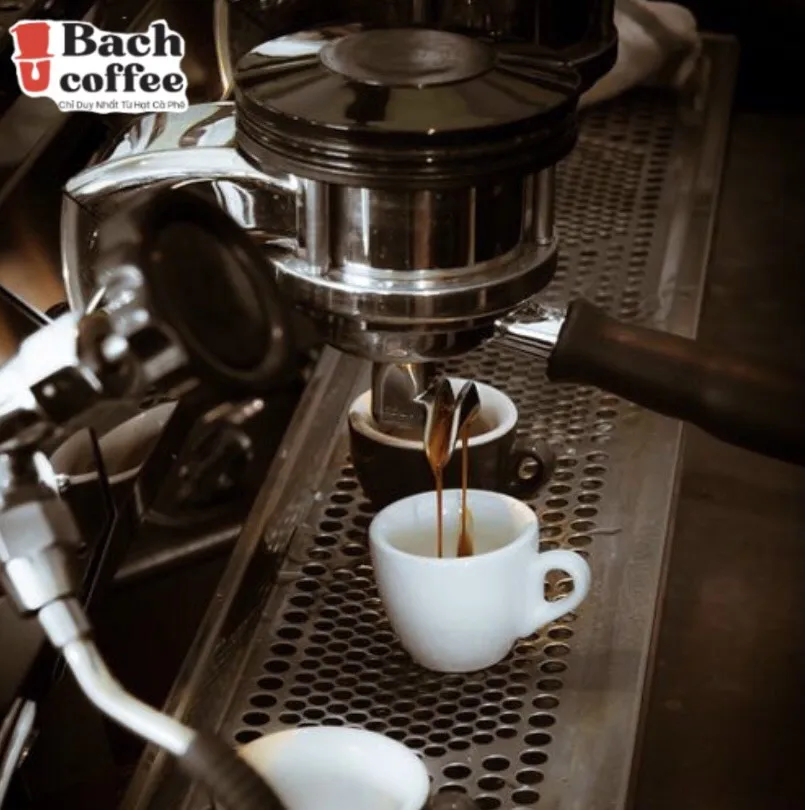 Original Catuai Coffee Beans / Variety  Arabica  Premium /  /Fresh Medium Roast / Fair Direct trade / OEM / Lowest shipping cost