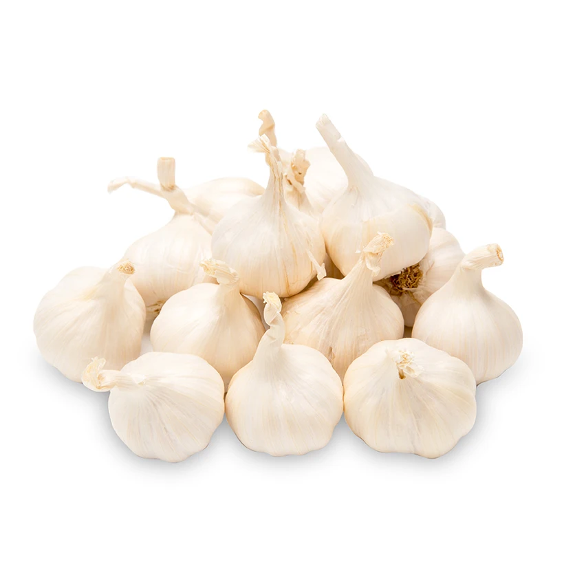 Good Quality Garlic Ly Son Island Garlic Dried Garlic Wholesale