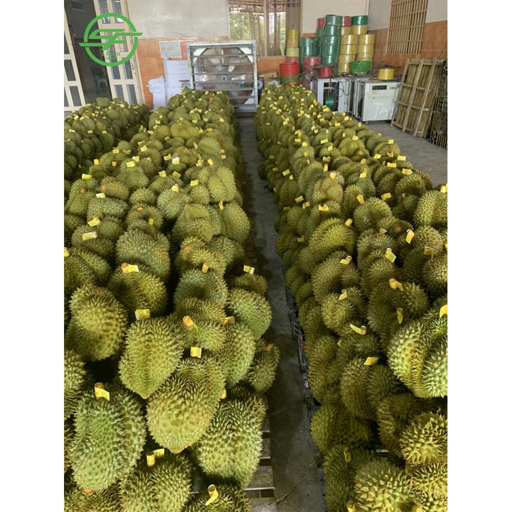 Хит продаж: вкусный дуриан вьетнамский Премиум (Whatsapp/zalo/wechat: + 84 912 964 858)