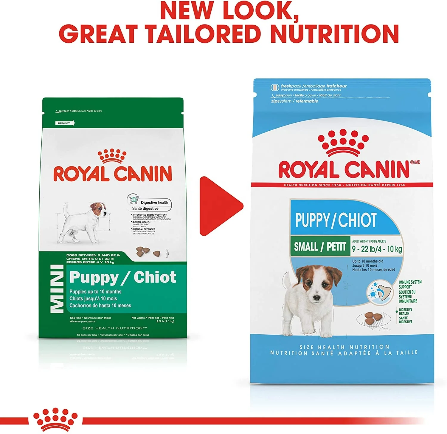 Royal Canin Club Pro сухой корм для собак специальная производительность