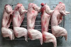 
Frozen Rabbit Meat Export 