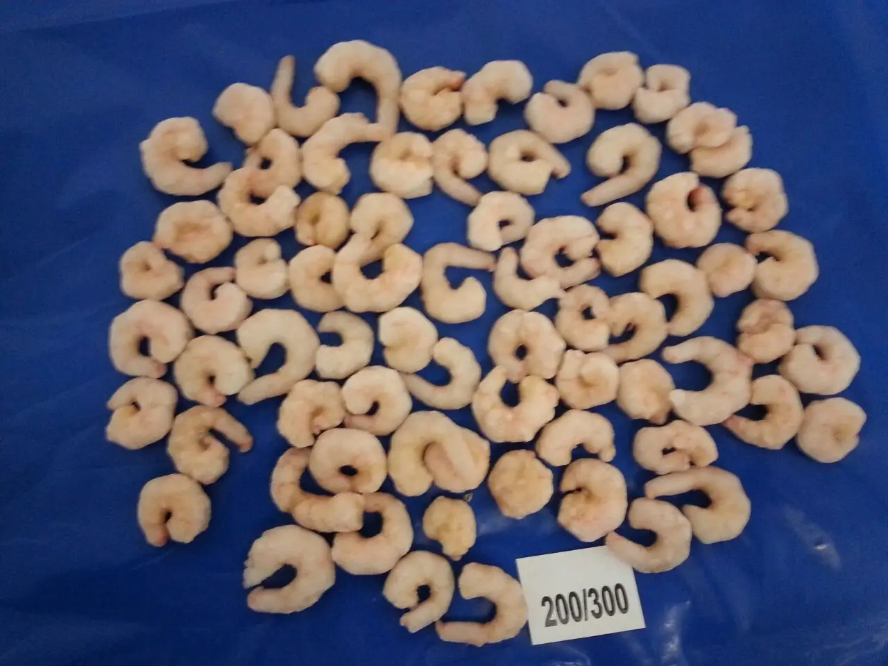 FROZEN PUD COOKED/BALACHED SHRIMPS IQF