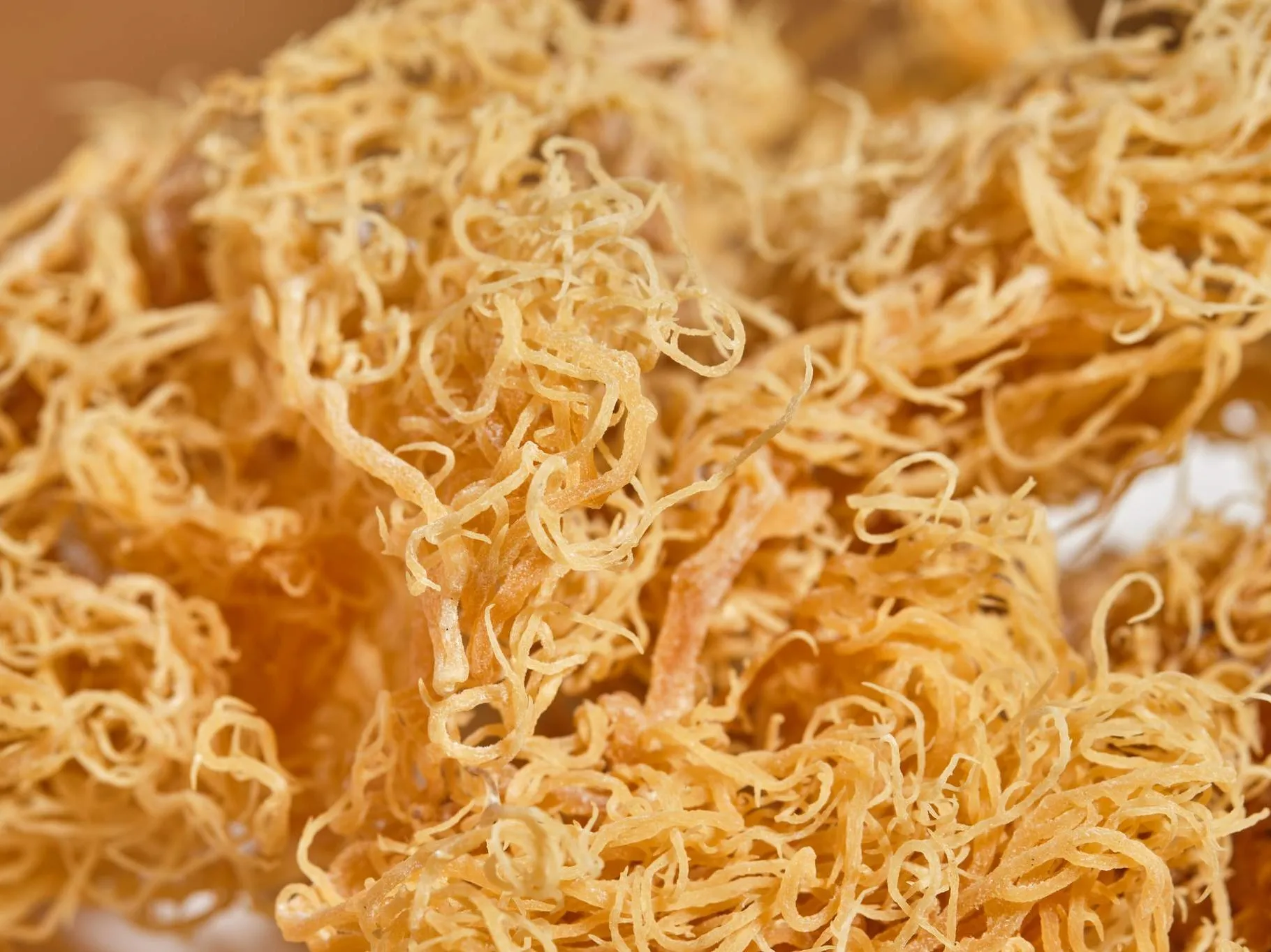  Органический ирландский Мох/морской мох по конкурентоспособным ценам для оптовиков/г-жа Май + 84 904 183 651