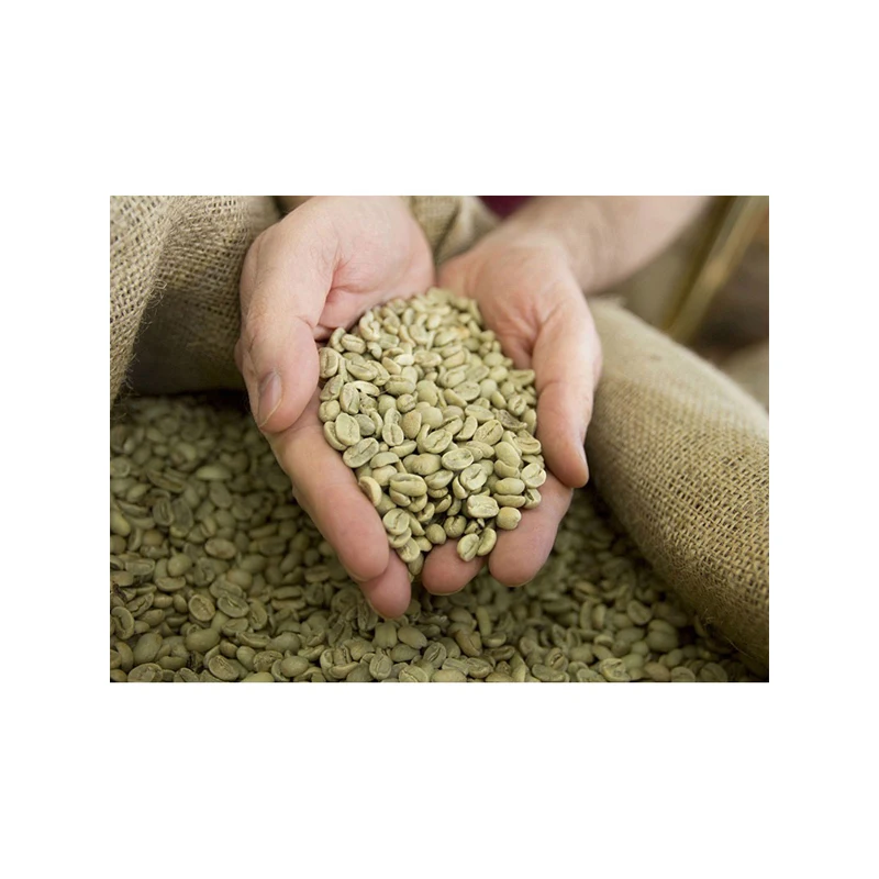 Best quality Green Coffee Beans CERRADO extra ciok Arabica ready to export