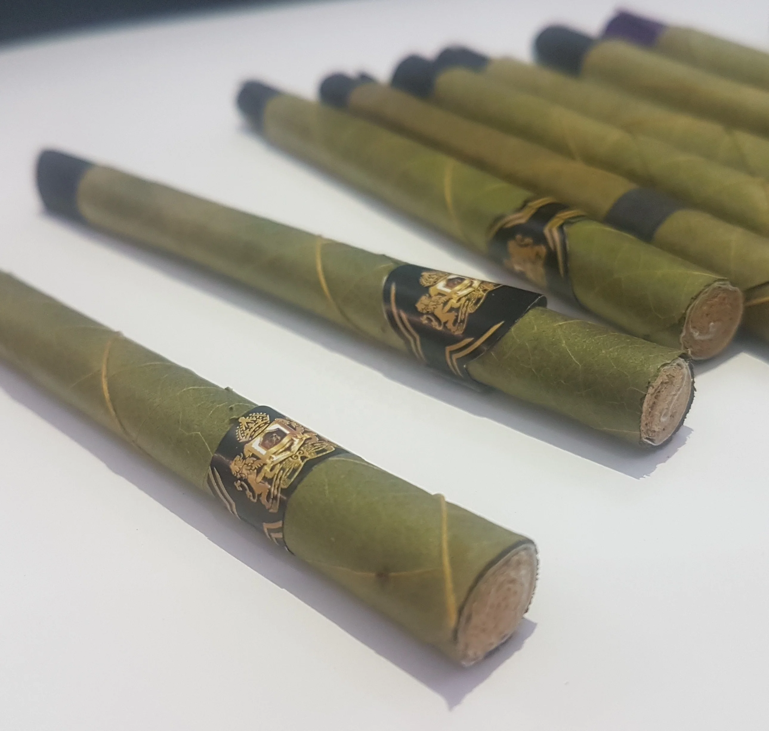 OEM bulk Cordia and tendu Herbal rolled Leaf terpenes flavor Pre rolled leaf Maxican Leaf Pre Rolled Cones