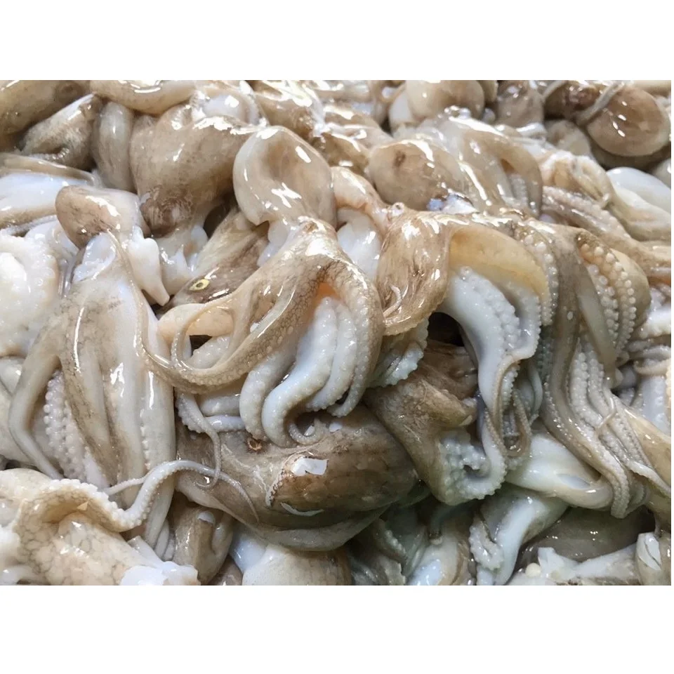 Хит продаж, сырые, полностью свежие натуральные замороженные морепродукты, продукты, воздушно-высушенные, очищенные, осьминог для приготовления пищи от частной марки во Вьетнаме