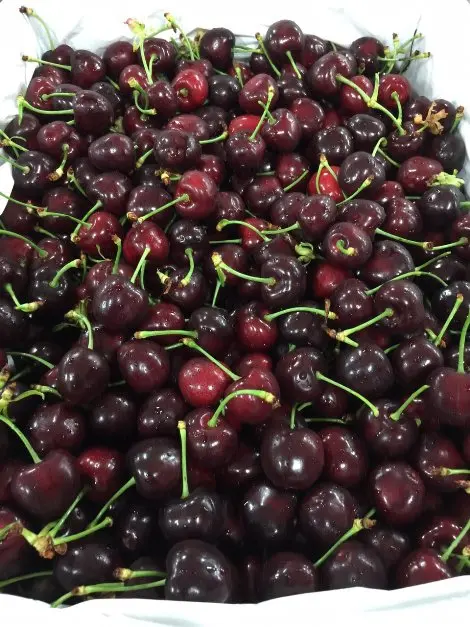 PREMIUM ITALIAN SWEET AND RED APULIAN CHERRIES FOR SALE